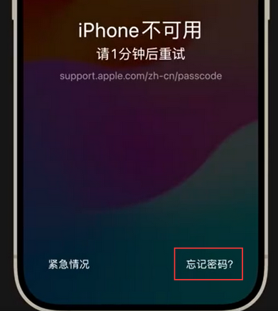 钢城苹果手机密码维修分享iPhone忘记了刚设置的密码 