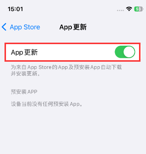 钢城苹果15维修中心如何让iPhone15APP自动更新